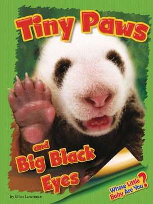 cover image of Tiny Paws and Big Black Eyes (Giant Panda)